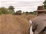 Horse riding in Mashatu Botswana